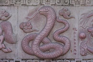 暗黑破坏神4职业选择推荐，暗黑破坏神4玩哪个职业好？