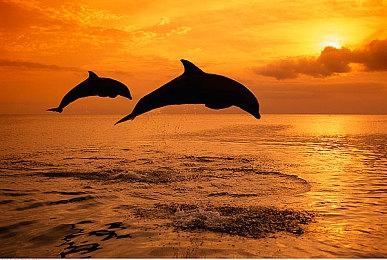 网传《使命召唤19》将与《暗黑4》联动 莉莉丝求战